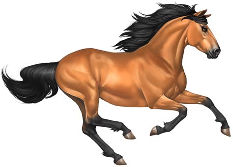 Mustang Horse Png Image Png Mart