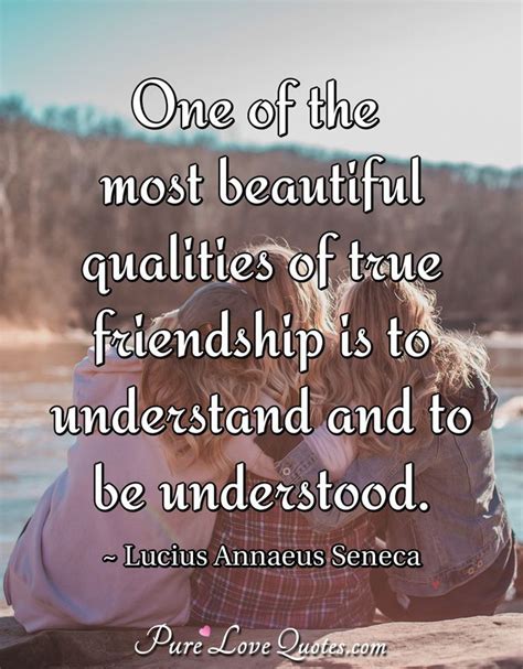 50 Friendship Quotes For True Friends Purelovequotes