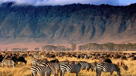 How To See The Ngorongoro Crater Travel The Sunday Times