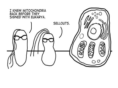 Funny Plant Cell Jokes Funny Wrong Stem Cells Injection Cartoon