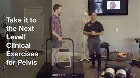 Clinical Exercises For The Pelvis Performancepractic Tv