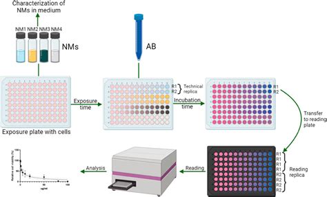 Mtt Assay Protocol For Cell Viability And Proliferation Off