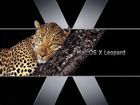 Mac Os X Leopard Wallpapers Wallpaper Cave