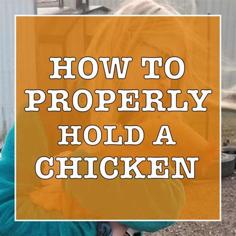 Check spelling or type a new query. How to Properly Hold a Chicken
