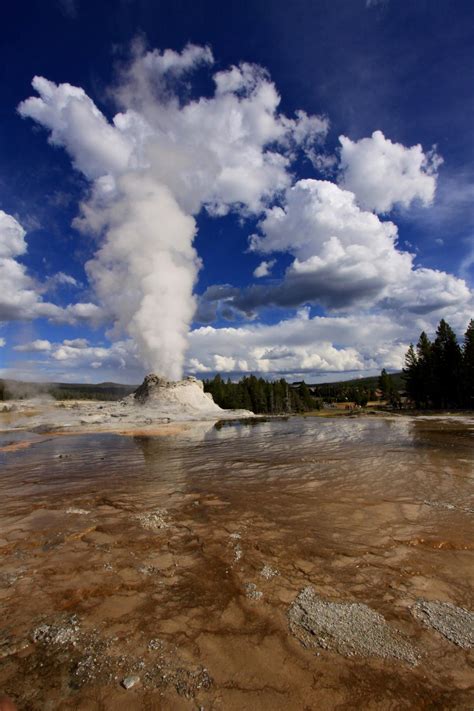 Castle Geyser California National Parks National Parks Yellowstone