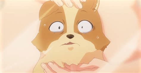 My Life As Inukai Sans Dog Tv Anime Gets New Trailer Visual January