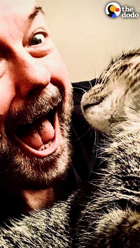 Feisty Redhead☘️ On Twitter Rt Dodo Watch Rickygervais Fall In Love With His Foster Cat 😂💙
