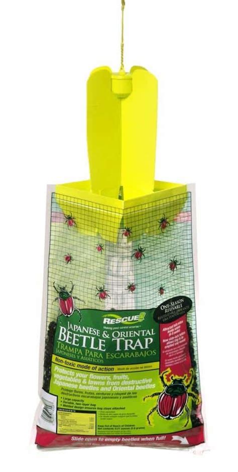 The Best Japanese Beetle Traps In 2020 Which To Choose