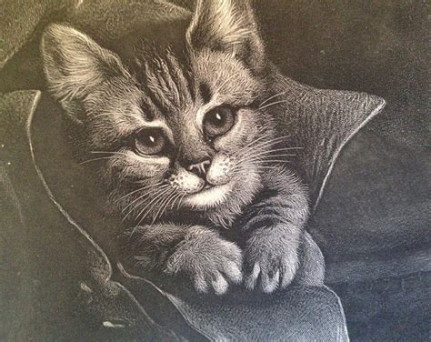 Puss In Boots Frank Paton 1896 Antique Cat Kitten Engraving To Frame