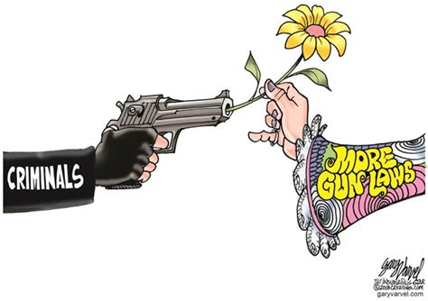 Gun Control Obama Care Cartoons