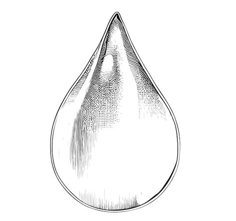 Premium Vector Water Drop Sketch Hand Drawn Vector Illustration