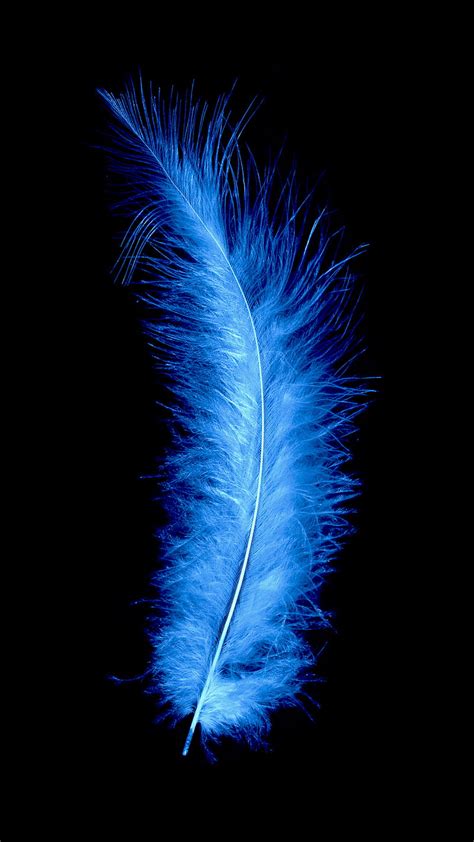 Blue Feather Blue Feather HD Phone Wallpaper Peakpx