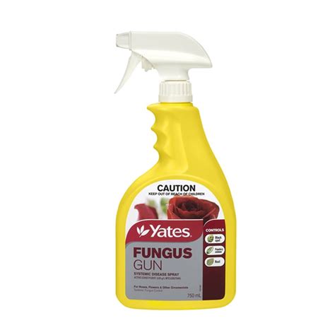 As fungus gnats are weak fliers, they will remain somewhat stationary and are often only discovered when they are disturbed from resting on the soil surface of potted plants, wet bags of soil, and. Yates 750ml Fungus Gun Systemic Disease Spray | Bunnings ...