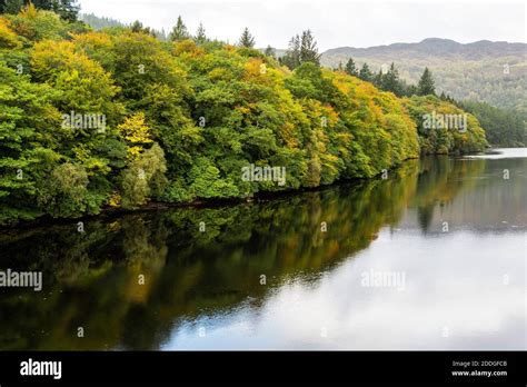 Autumn Reflections On Loch Faskally Near Pitlochry In Perthshire