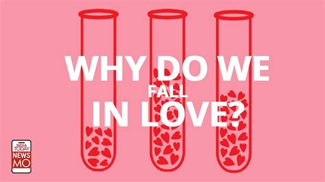 What Is The Science Behind Falling In Love Newsmo Youtube