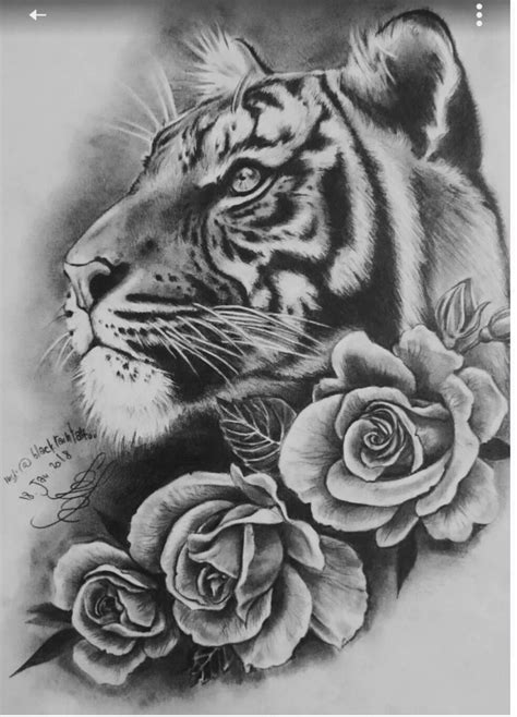 Tiger Tattoo Pencil Drawing