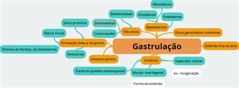 Gastrulação Mapa Mental Embriologia