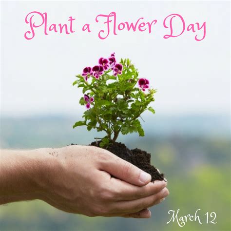 Plant A Flower Day March 12