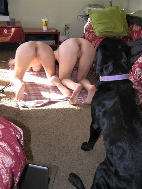 Obedience Training Porn Pic Eporner