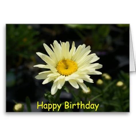 Pale Yellow Daisy Happy Birthday Card Happy Birthday