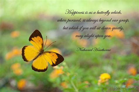 Happiness Is Like A Butterfly By Bonnie T Barry