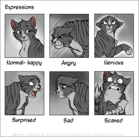 Toon Cat Facial Expressions Drawing Reference Drawings Cats