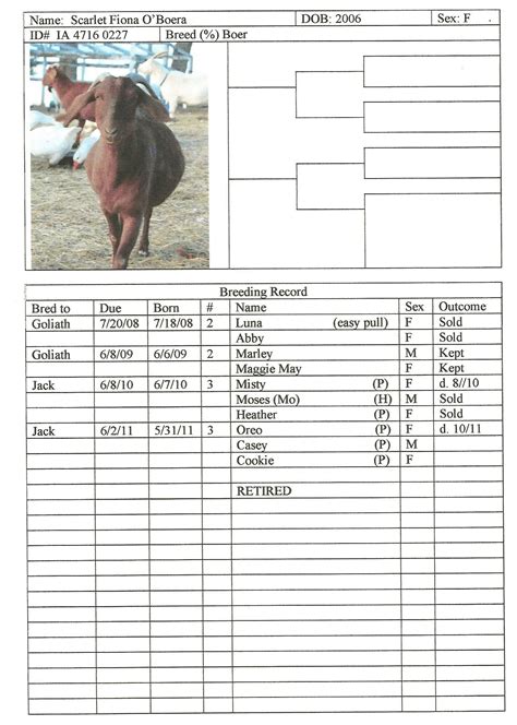 Great Free Downloadable Breeding Record Sheet Goat Breeding Record