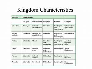 Kingdom Characteristics