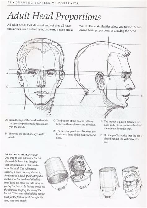 Human Head2 Drawings Face Drawing Drawing Heads