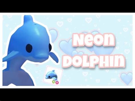 Making a NEON DOLPHIN in adopt me!🐬 - YouTube