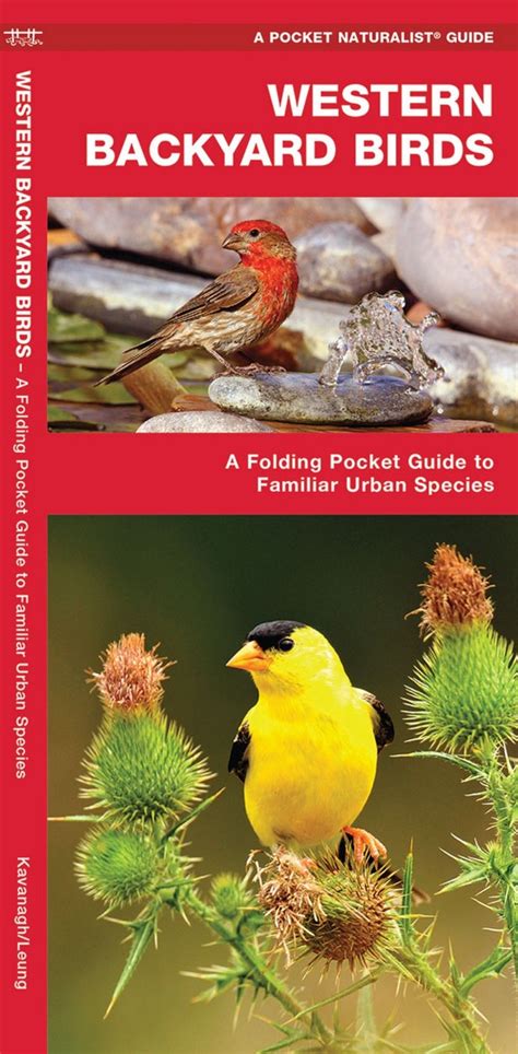 Western Backyard Birds Pocket Naturalist Guide