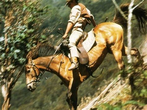 The Man From Snowy River 1982 Movie Love Pinterest