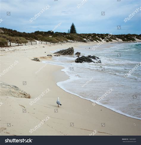 The Beautiful Beaches Of Rottnest Island Western