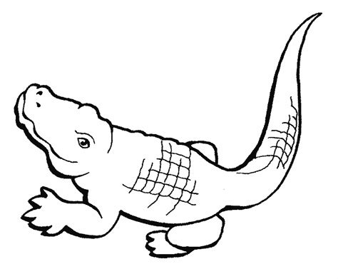 The coloring pages presented here can be freely downloaded for your kids' personal use. Crocodile coloring pages to download and print for free