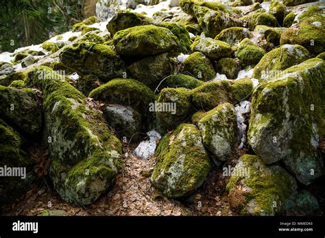 Beautiful View Of Moss Covered Stones In Mountain Forest Stock Photo