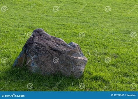 Large Gray Rocks On Green Grass Stock Image Image Of Beauty Detail