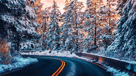 Road Trees Winter 4k Hd Nature 4k Wallpapers Images Backgrounds
