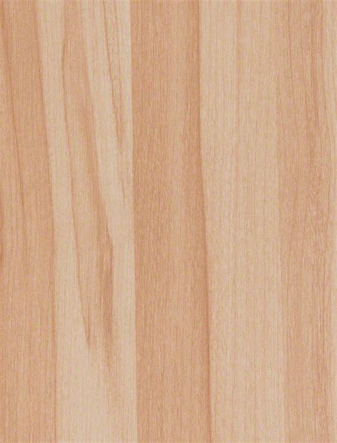 F5371 Accent Maple Compact Laminate Peter Benson Plywood Ltd