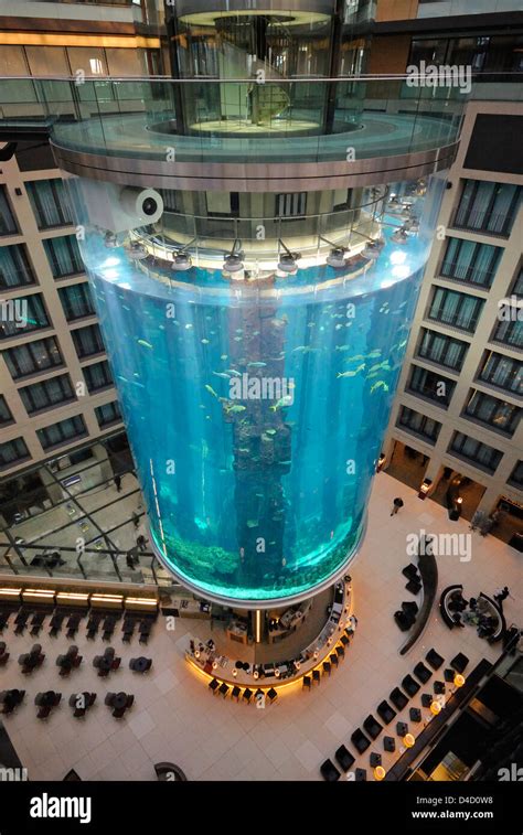 aquadom nella hall del radisson blu hotel berlin germania foto stock alamy