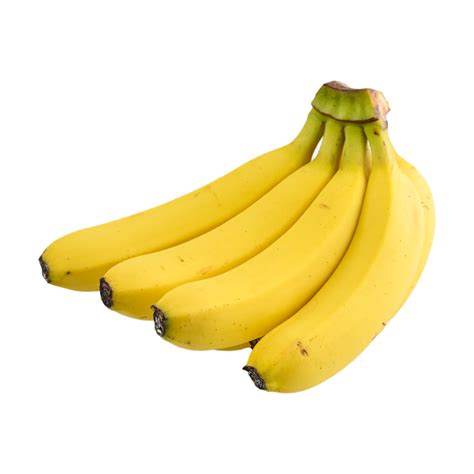 Organic Banana Organia
