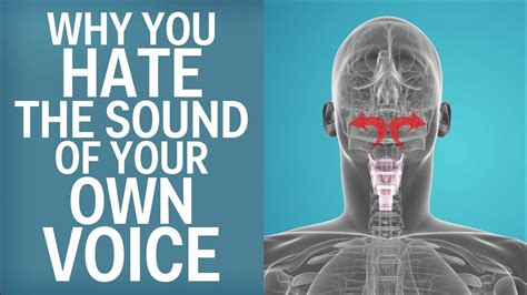 Heres Why You Hate The Sound Of Your Own Voice All About Voice
