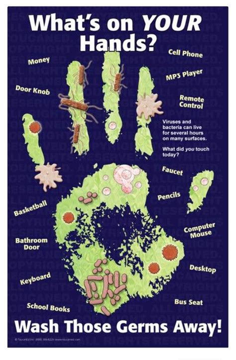 Germs On Hands Poster School Health Health Class Health Lessons Kids