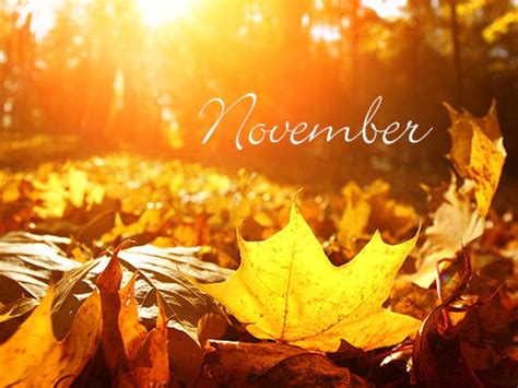Interesting Things About the Month of November - HubPages