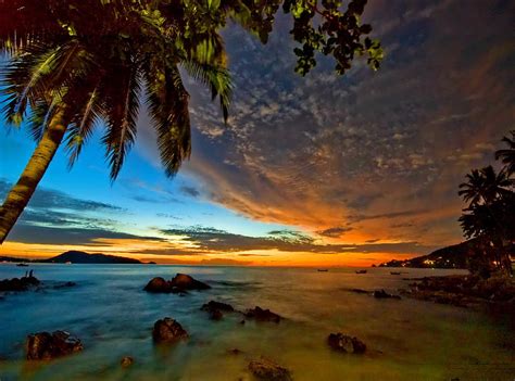 Palm Tree At Dawn Rocks Colorful Shore Clouds Sea Stones Village