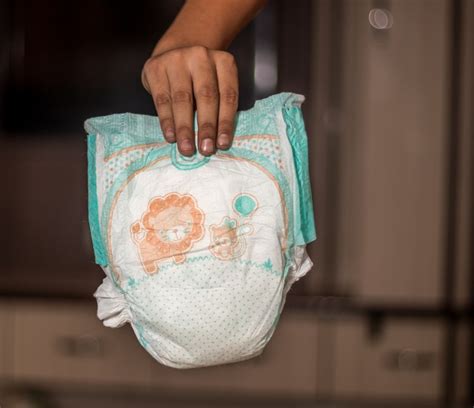 Best Biodegradable Diapers Reviewed In 2024