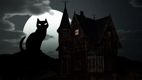 Black Cat Halloween Wallpapers Top Free Black Cat Halloween