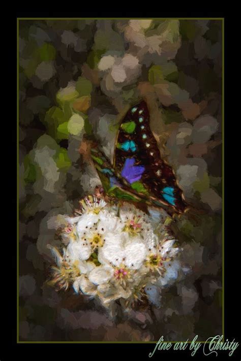 Fine Art Butterfly Scene From Original Digital Paintings Produced Using