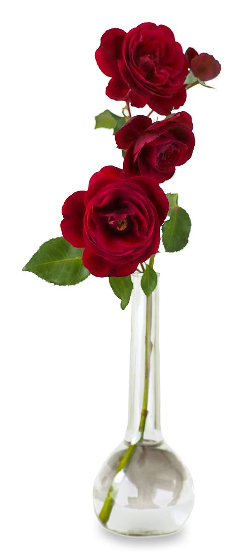 Where can you get your valentine's day flowers delivered? Spoiling your Valentine at work - Flower Press