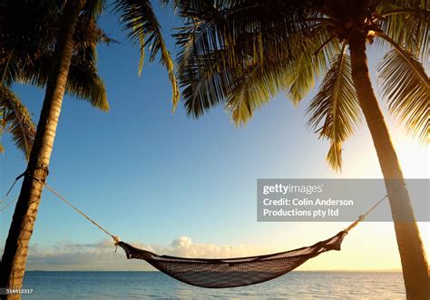 Hammock Hanging Between Palm Trees On Tropical Beach High Res Stock