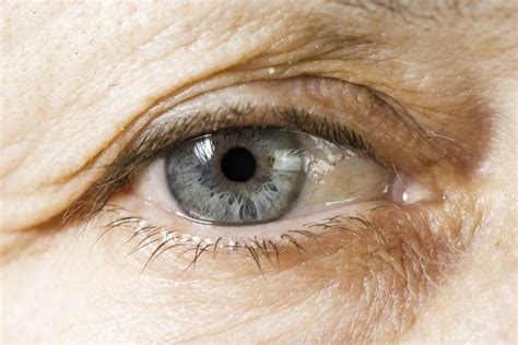 Implantes De Células Madre Curan La Ceguera A Pacientes Con